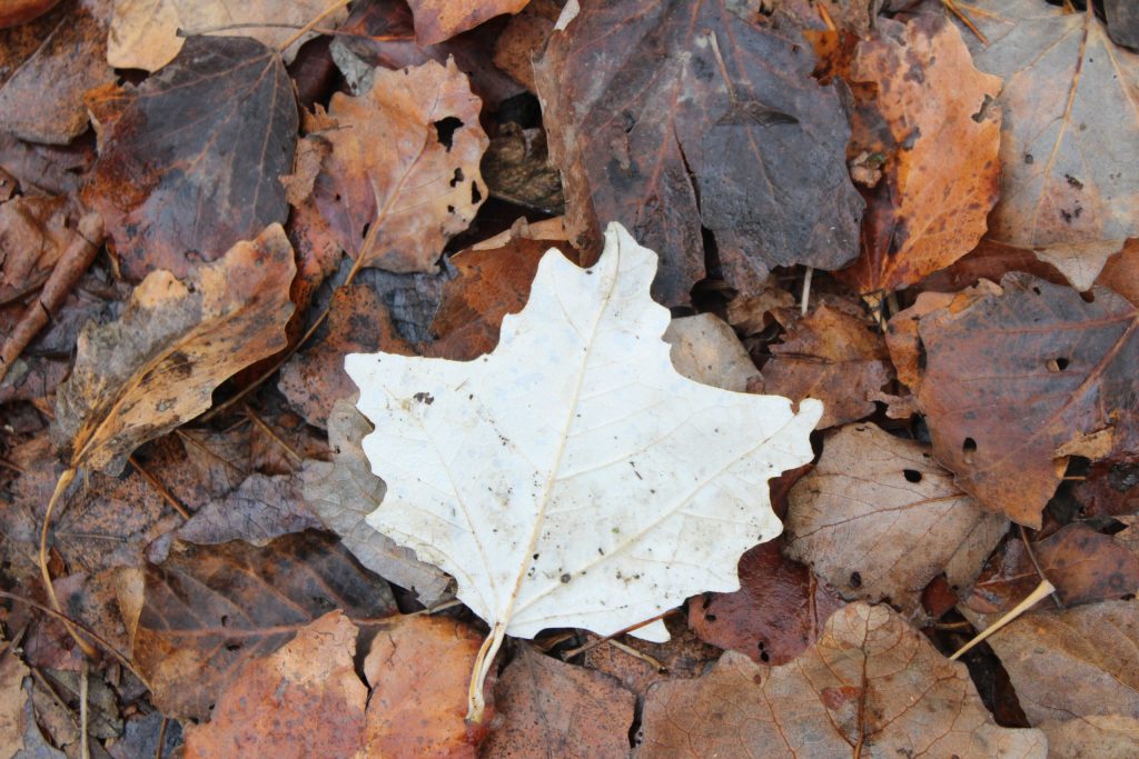 img-5772-scaled-3