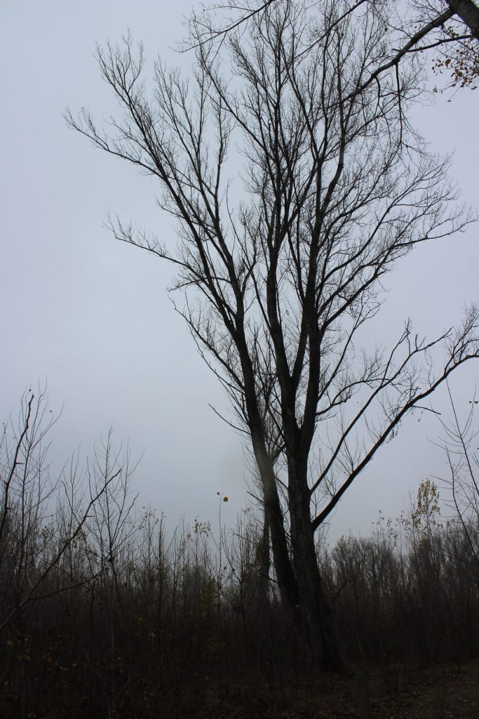 img-5775-scaled-3