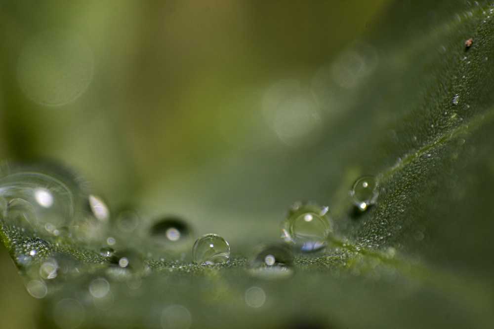 img-5792-1