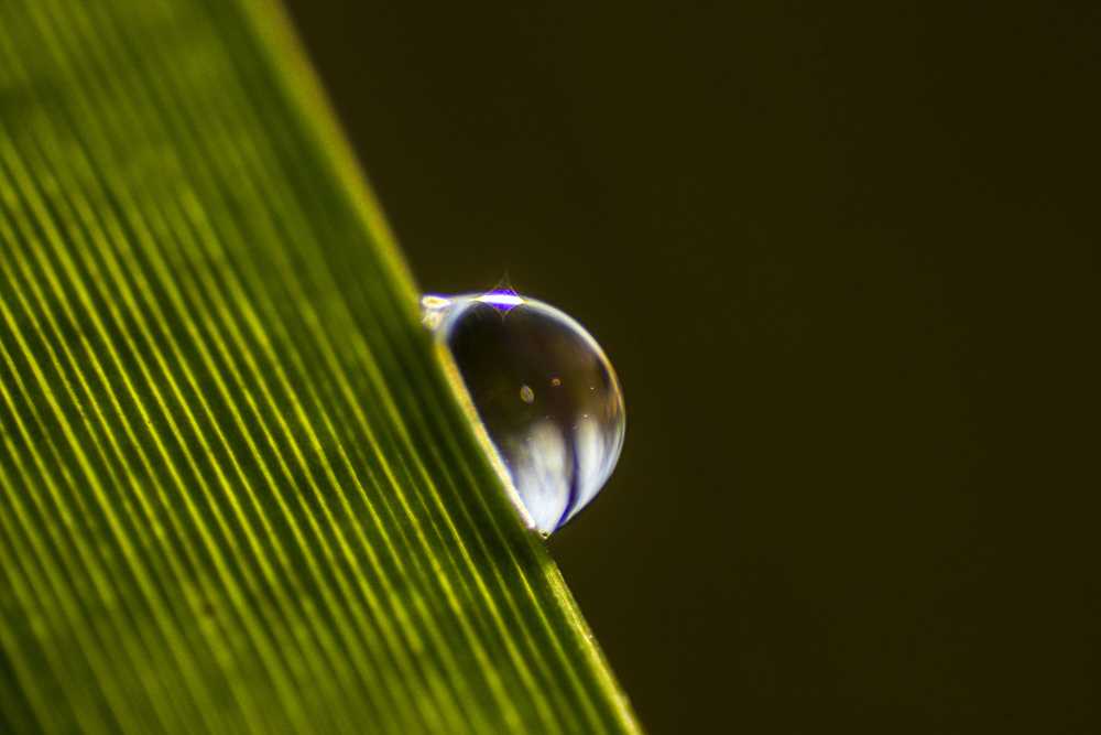 img-5802-1