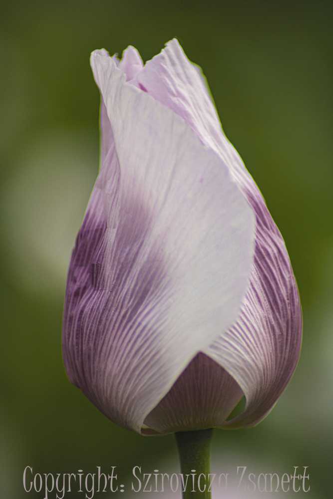 img-5806