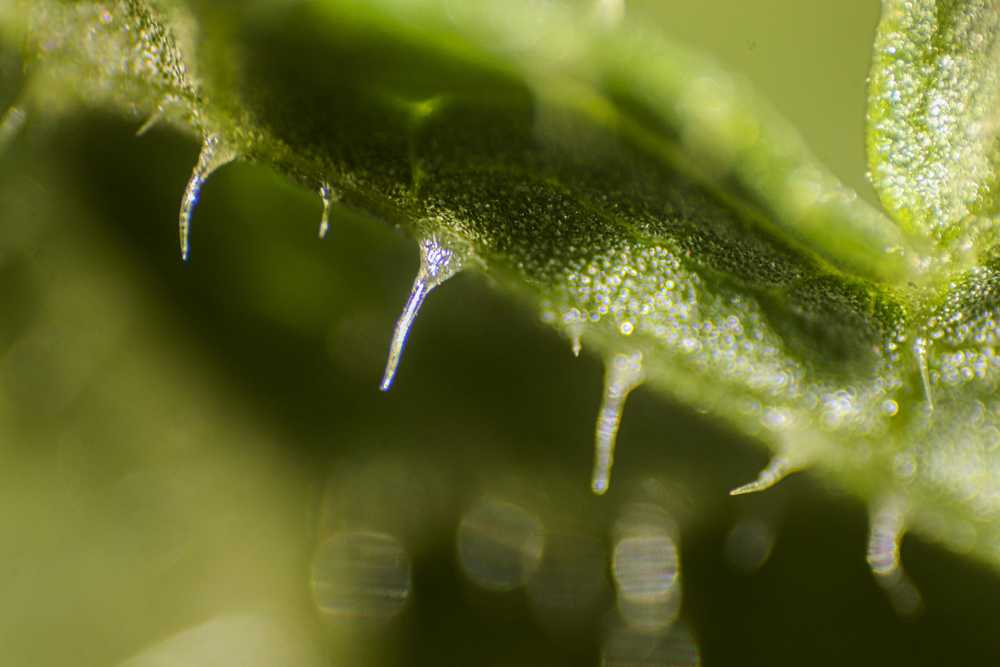 img-5838-1