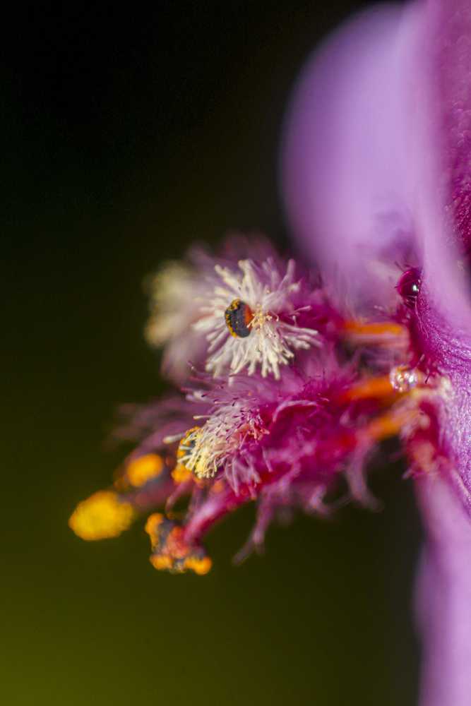 img-5847-1