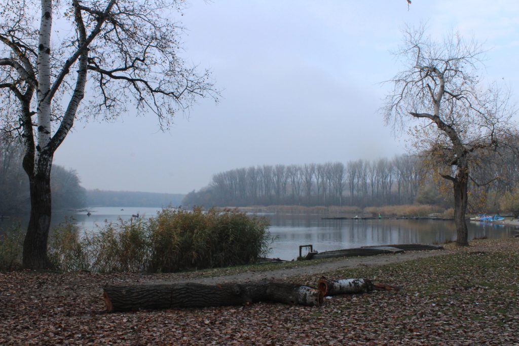 img-5853-scaled-3