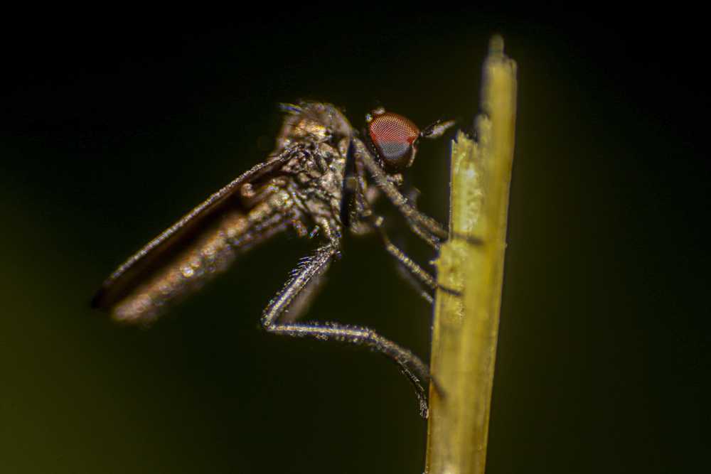 img-5854-10