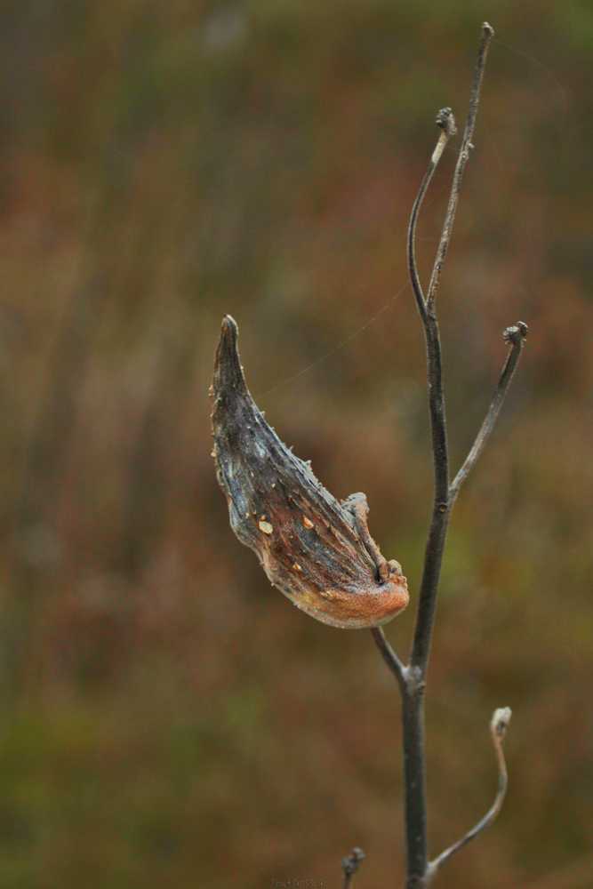 img-5859-01-1
