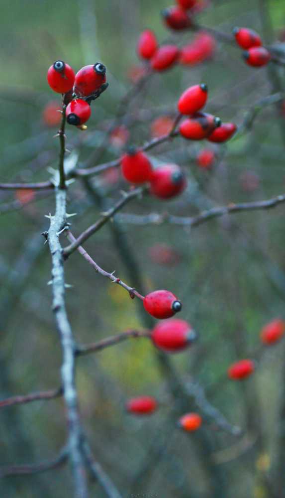 img-5860-02-1