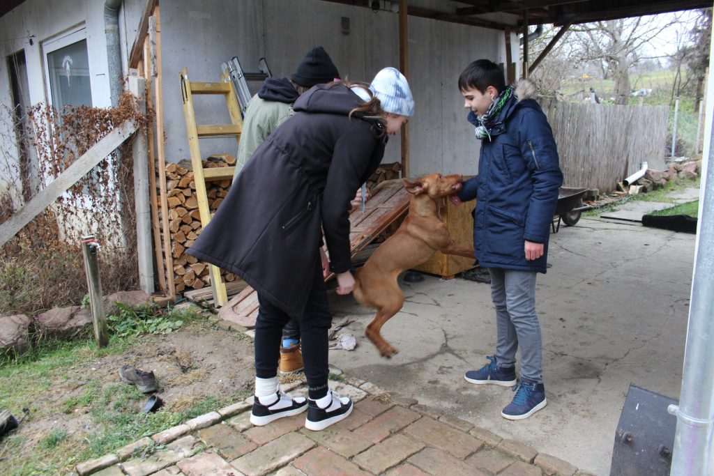 img-5864-scaled-6