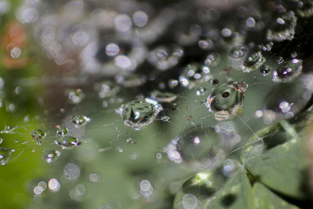 img-5872-1
