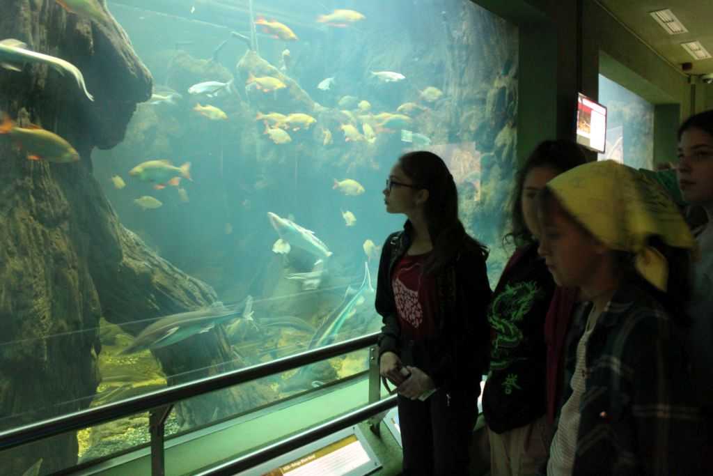 img-6098-1-1