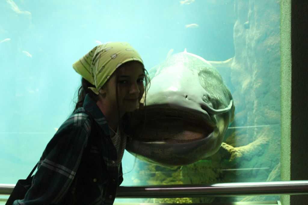 img-6104-1