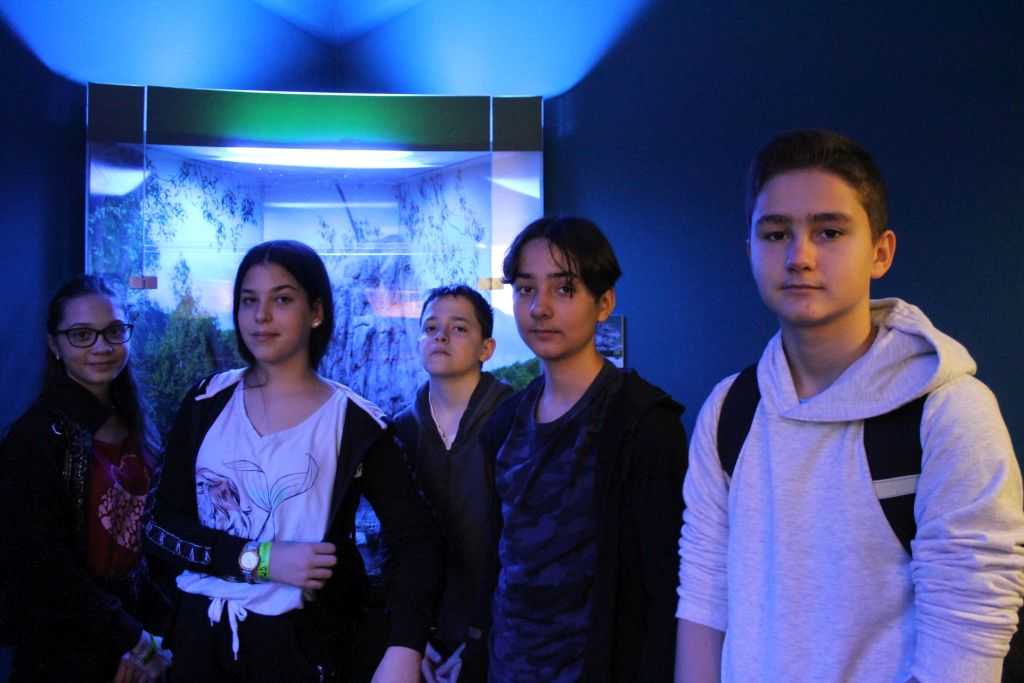 img-6137-1-1