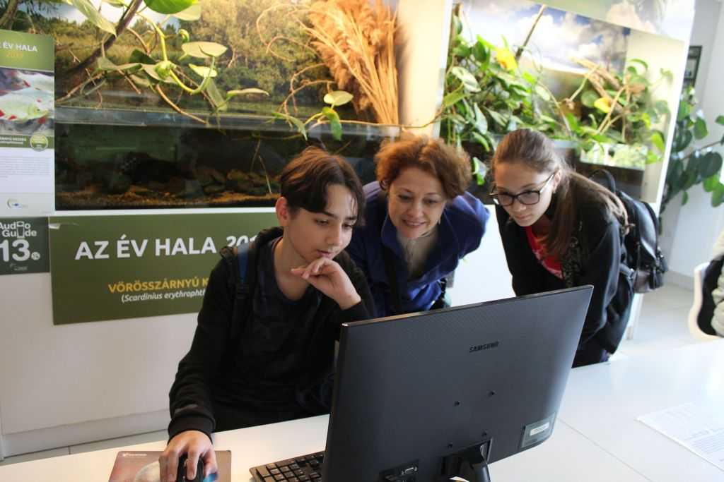 img-6193-4