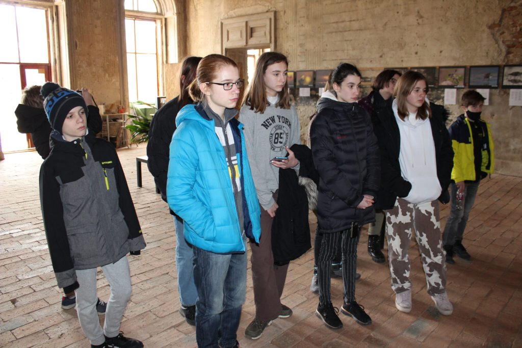 img-6223-scaled-2