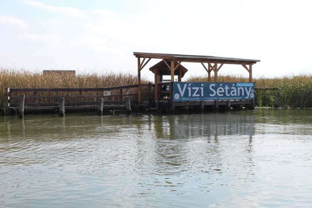 img-6231-5