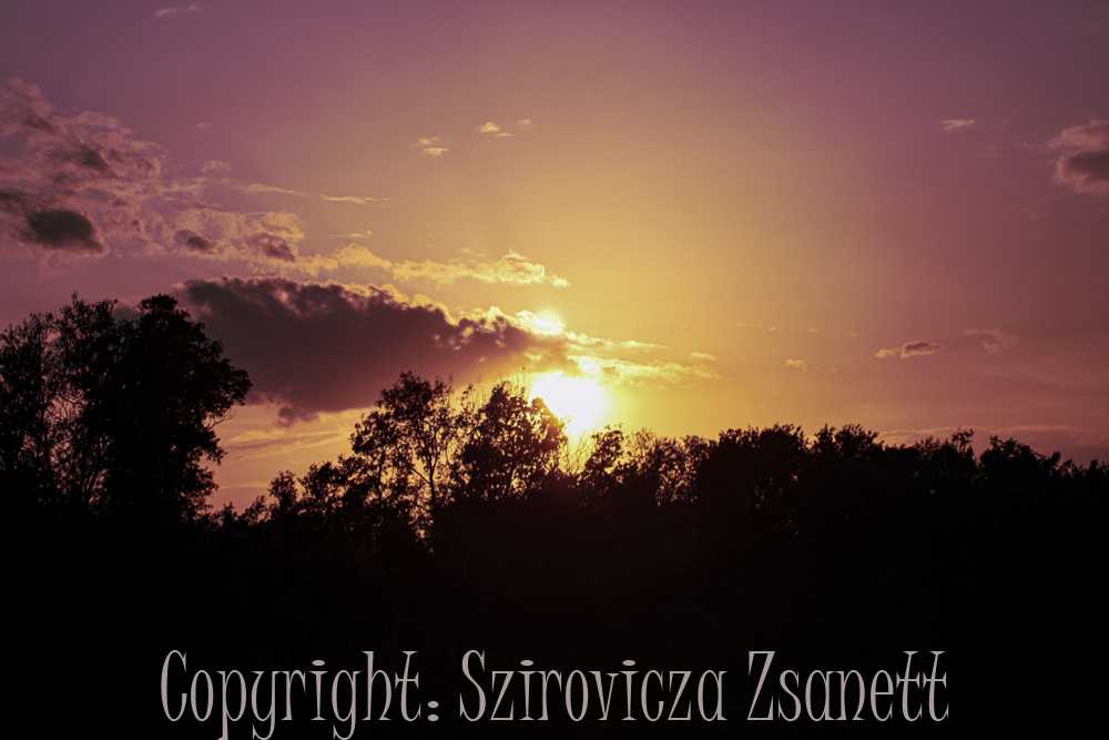 img-6258