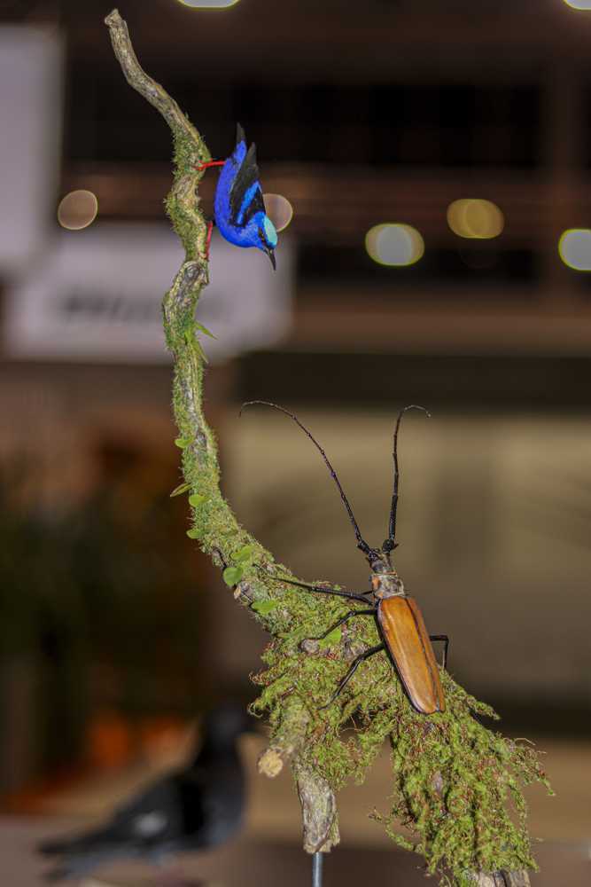 img-6282-1