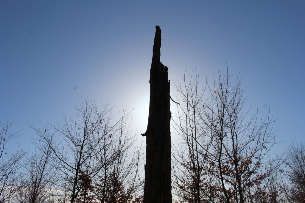 img-6380-scaled-2