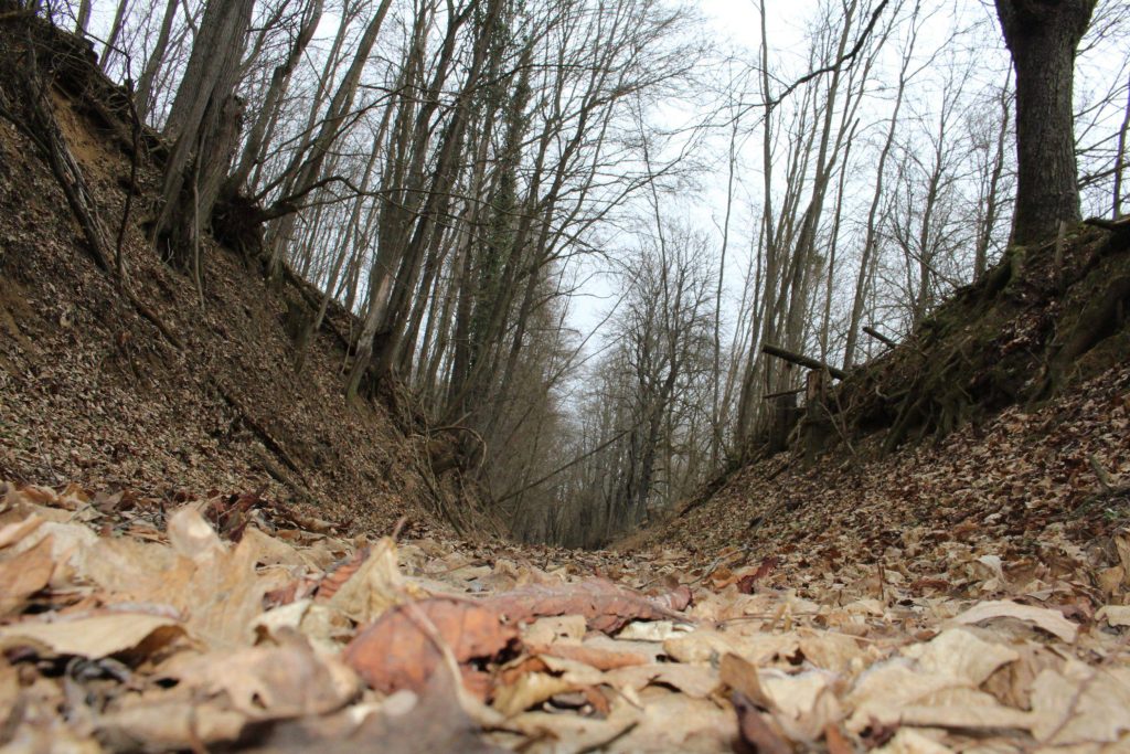 img-6435-scaled-2
