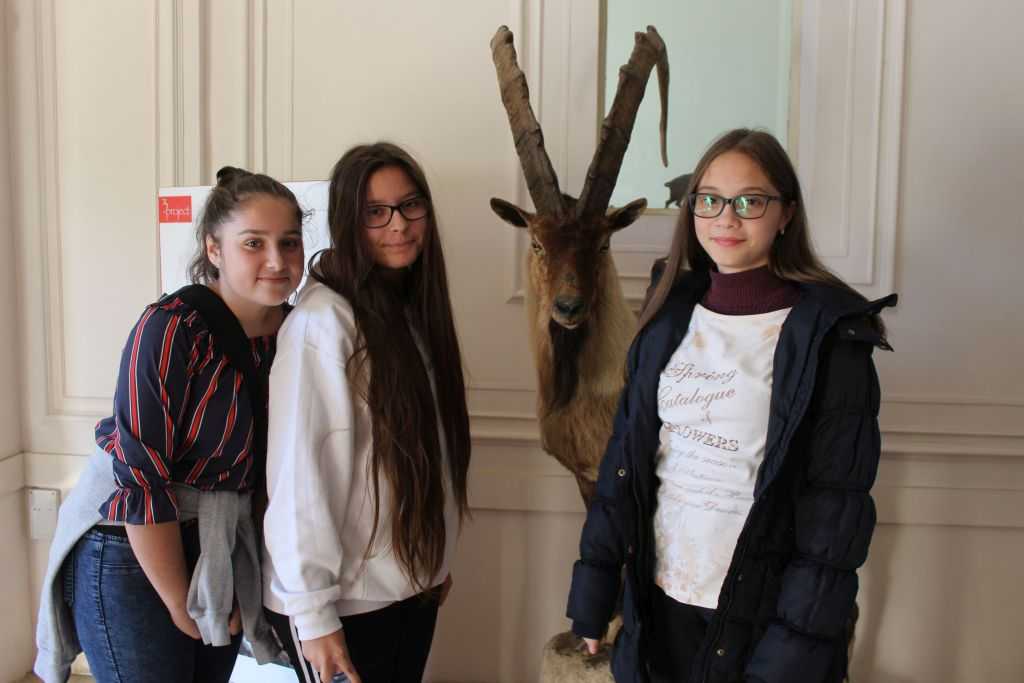 img-6521-2