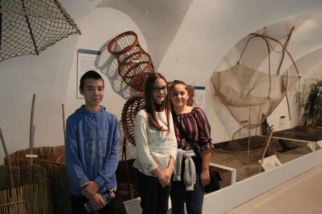 img-6528-1