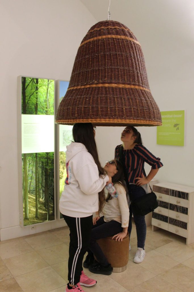 img-6543-1