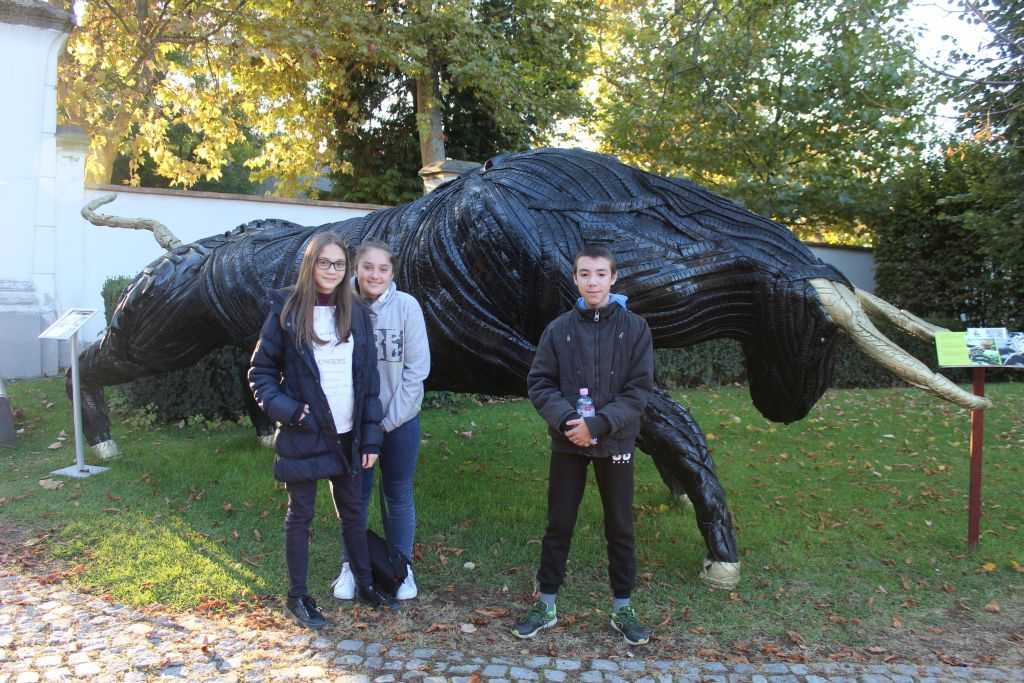 img-6579-1