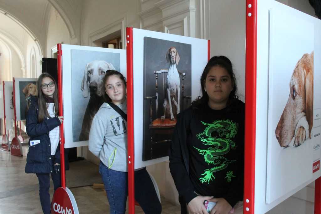 img-6589