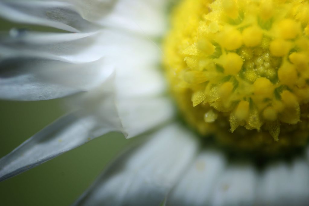 img-6628-01