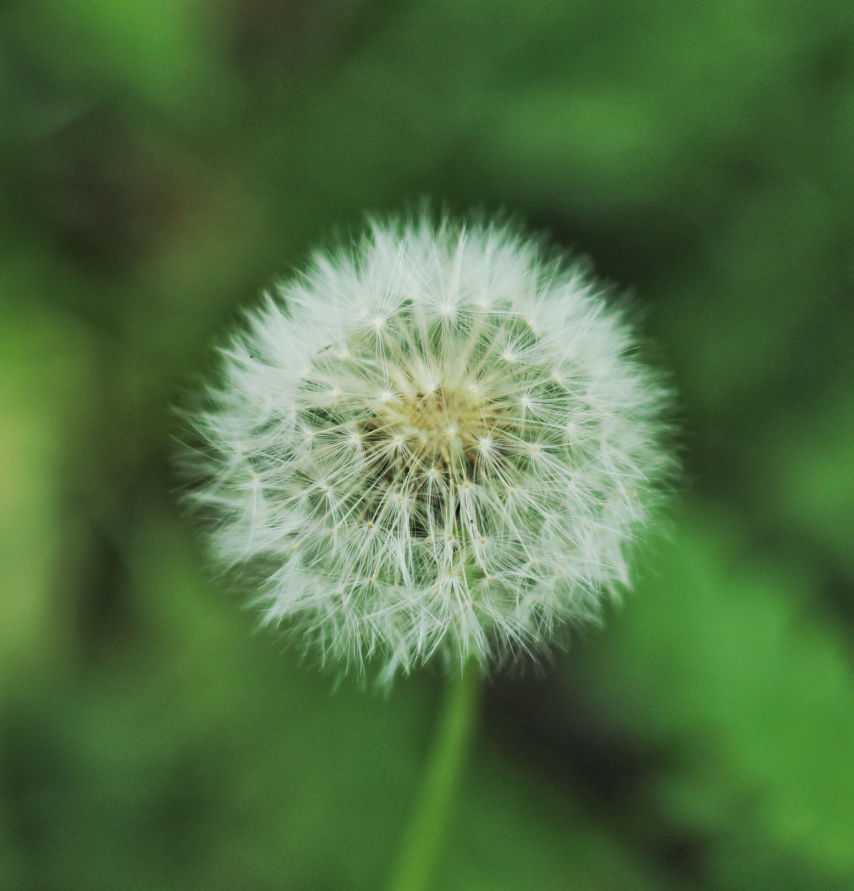 img-6649-01