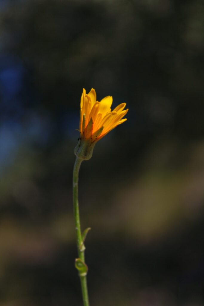 img-6657-01-scaled-5