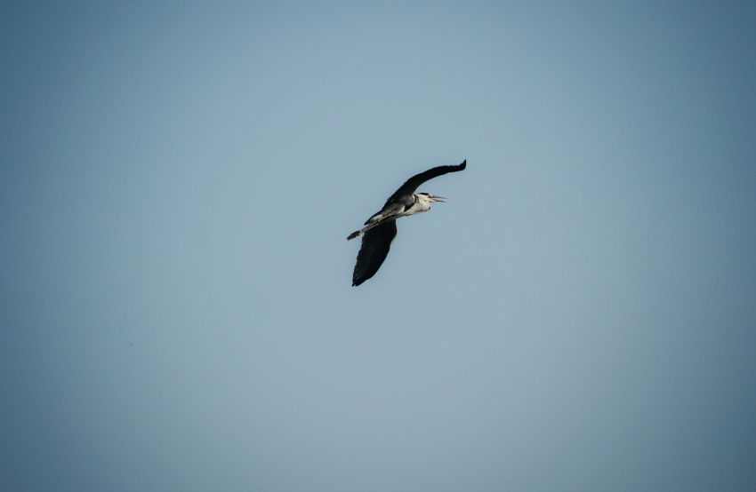 img-6676-01