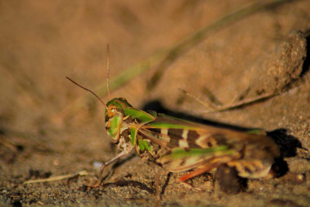 img-6754-01-scaled-4