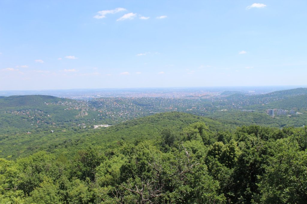 img-6804-1