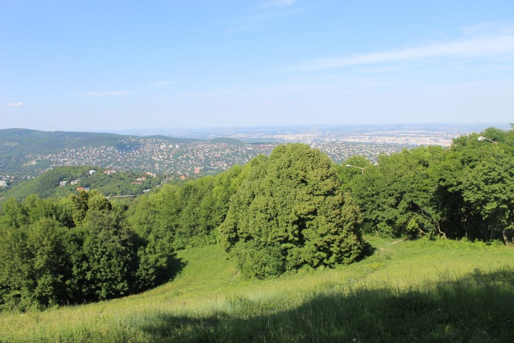 img-6856-1