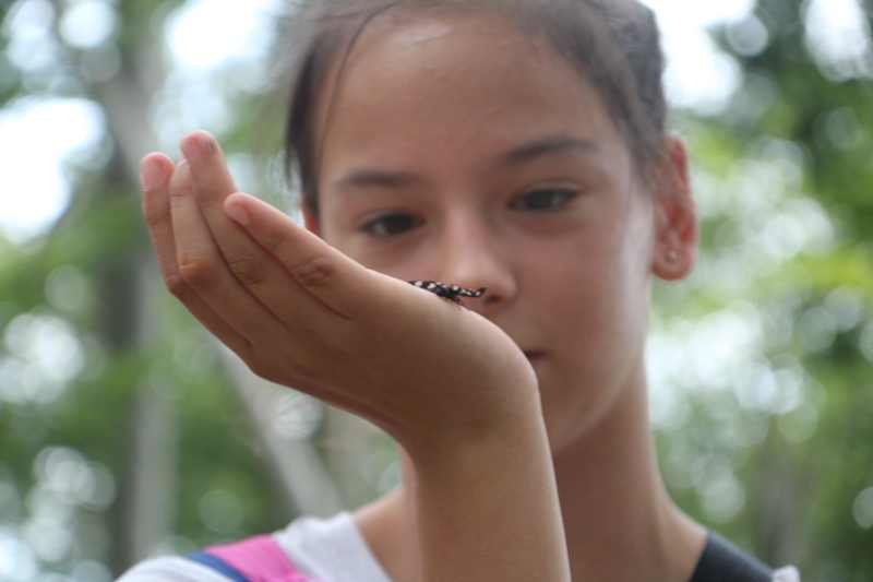 img-6873-1