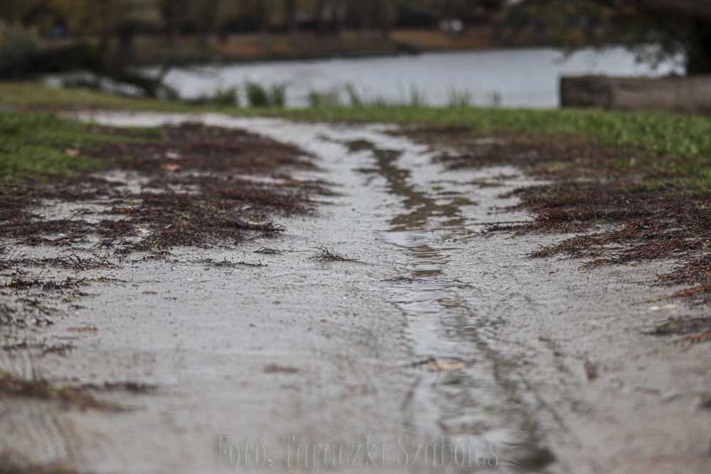 img-6873-3