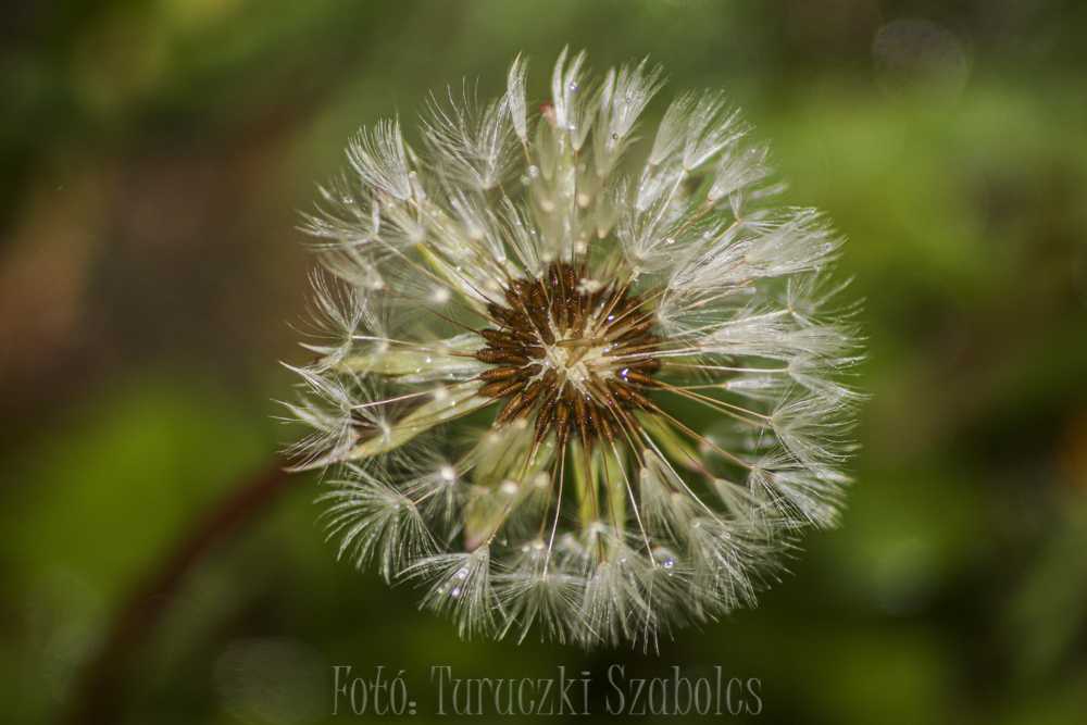 img-6890-6