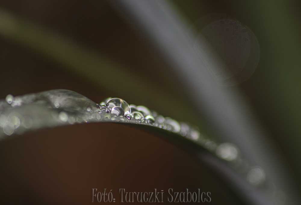 img-6902-7