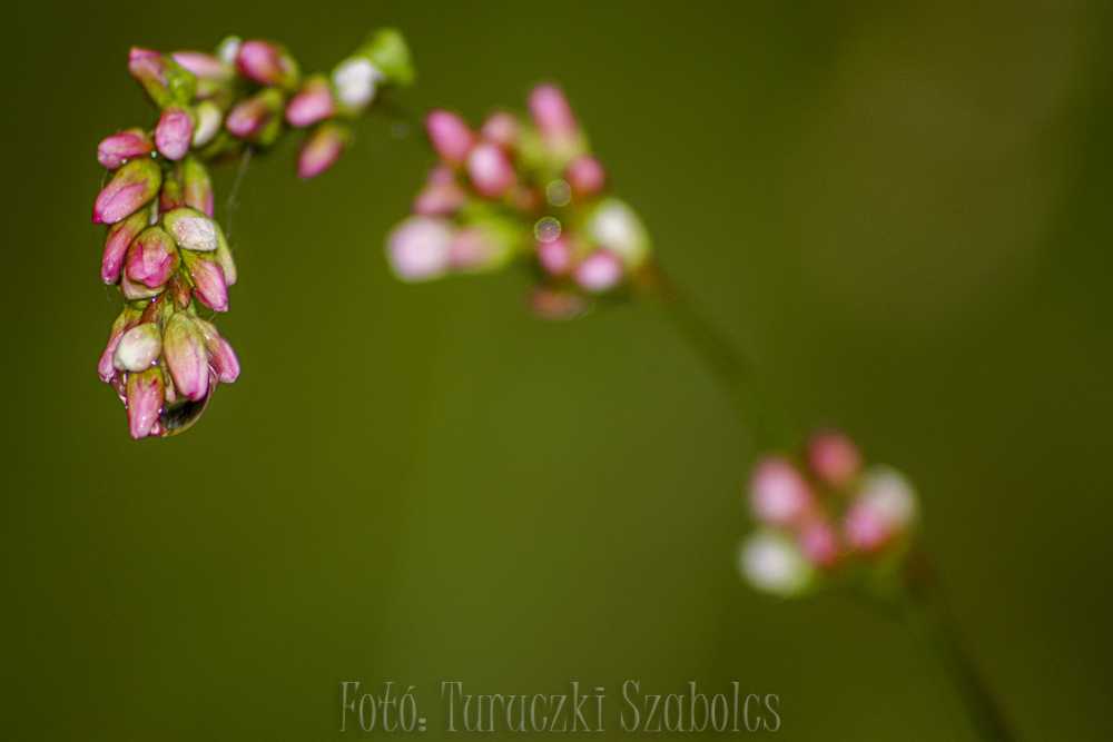 img-6917-1