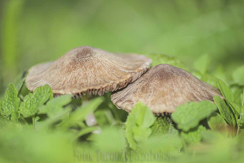 img-6939-1