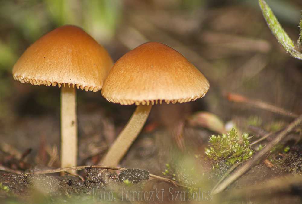 img-6942-1
