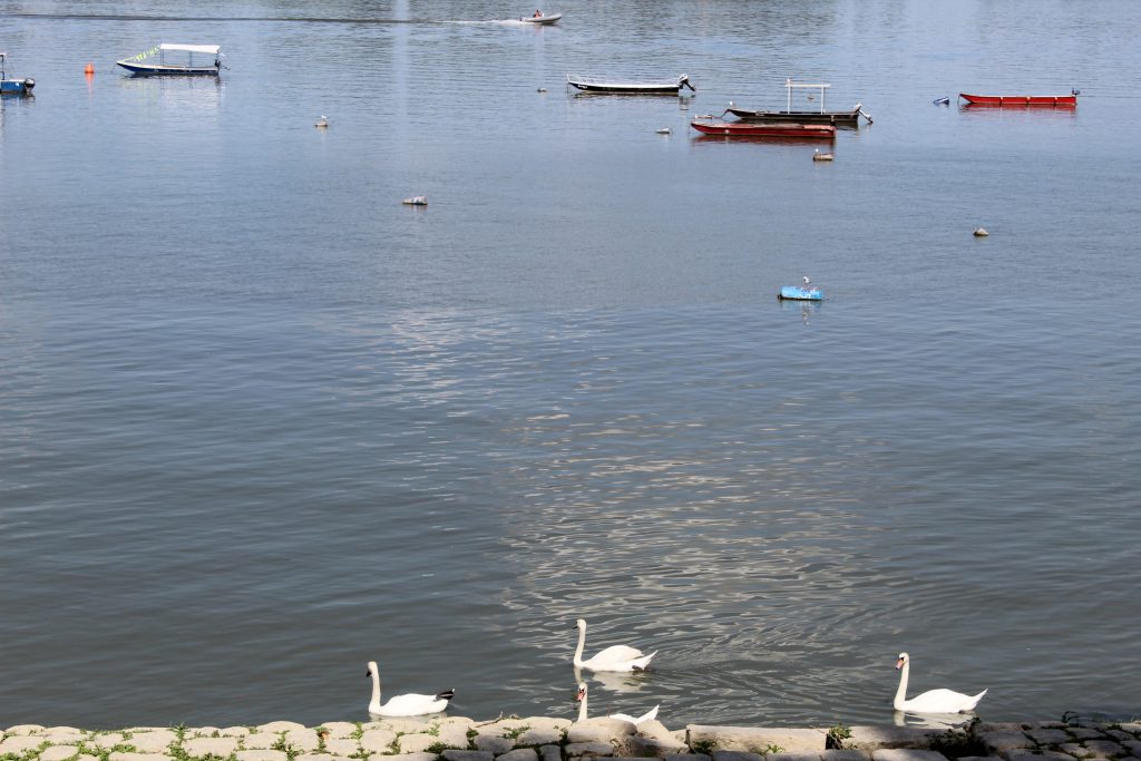 img-6943-5