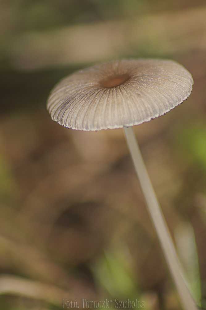 img-6973-1