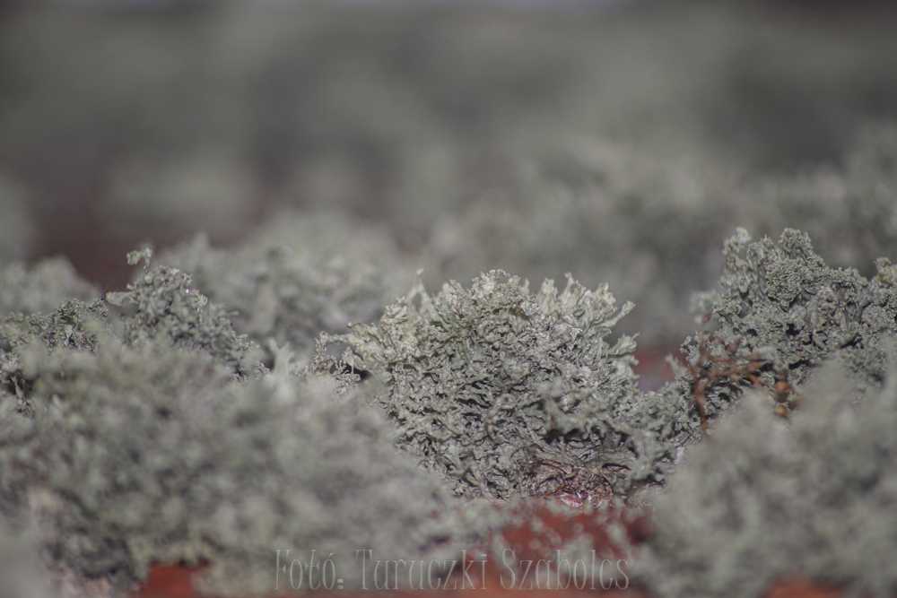 img-6995-1