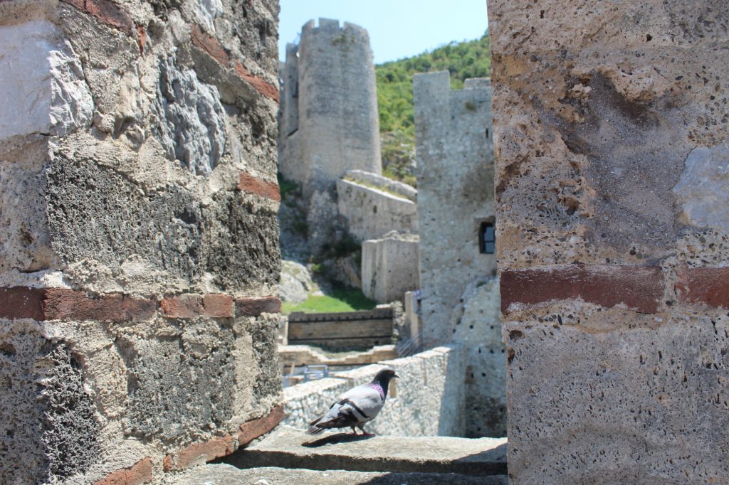 img-7022-3