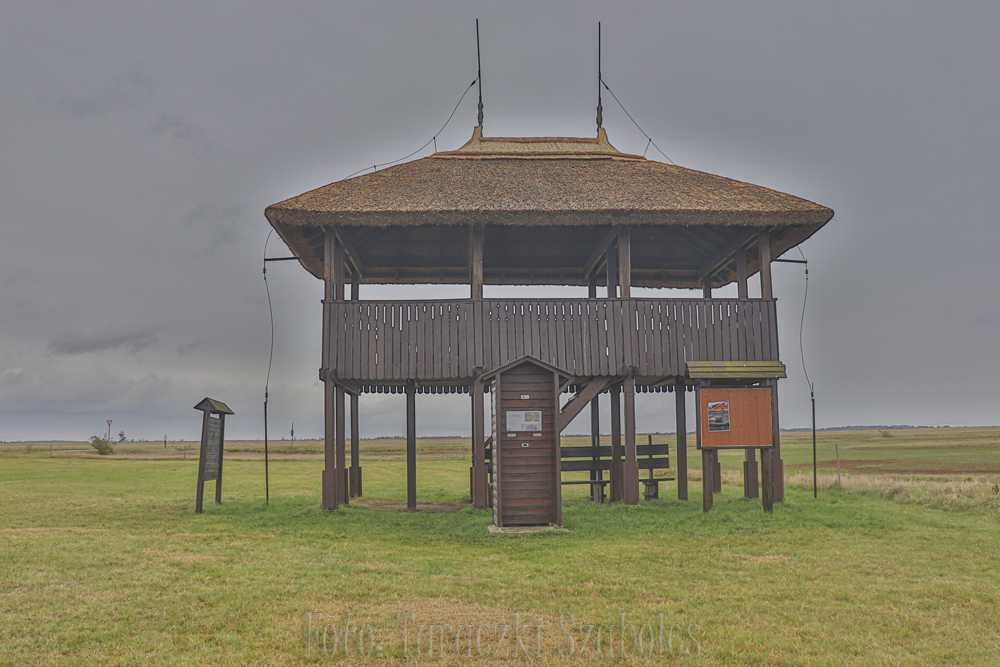 img-7028-7