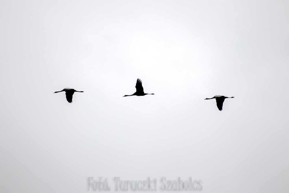 img-7063-1