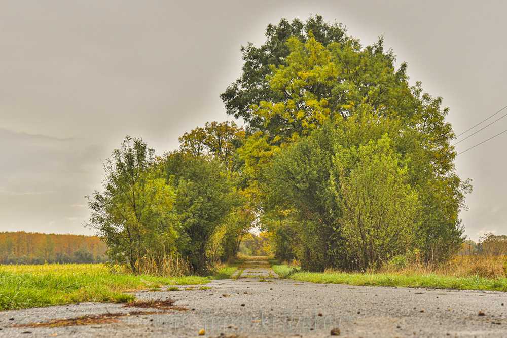 img-7115-2
