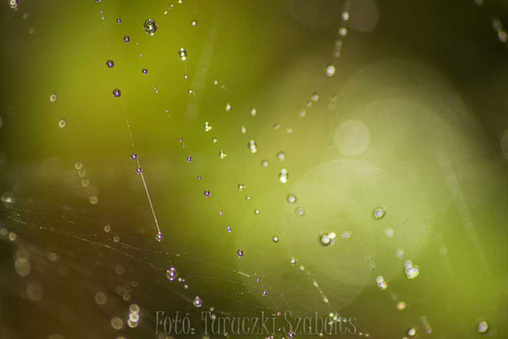 img-7131-1